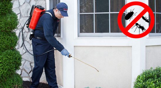 Saruhanlı Gümüşkurt İlaçlama böcek ilaçlama ve haşere kontrolü — ilaclama-tr.com